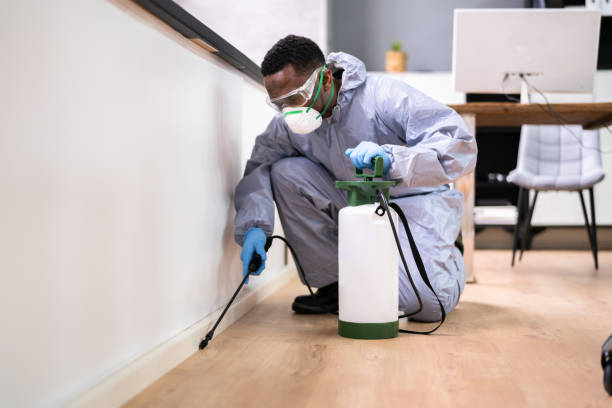 Best Fumigation Services  in Alsip, IL